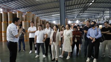 2025年廣西工業(yè)互聯(lián)網(wǎng)“百場路演”人工智能賦能林業(yè)產(chǎn)業(yè)專題活動走進港南區(qū)，引領家居定制智能化升級