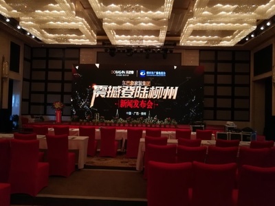 東巴象家裝集團柳州新聞發(fā)布會成功舉辦，引領家居定制新篇章